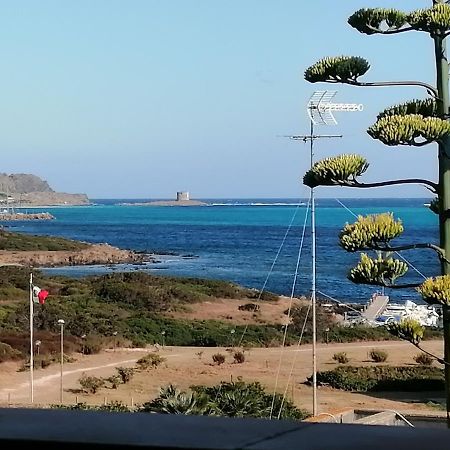 Appartamento La Finestra sulla Torre Stintino Esterno foto